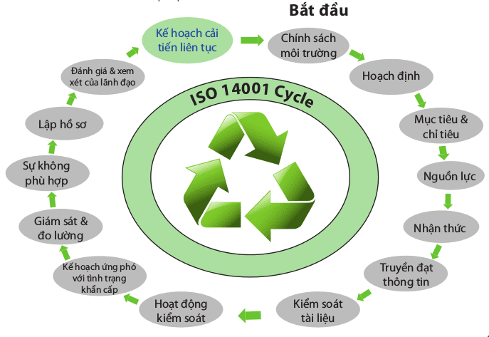 ISO 14001 - quy trình hệ thống môi trường