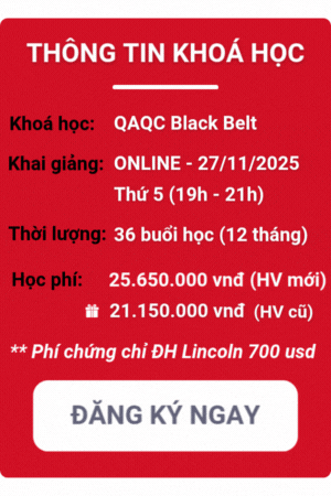 khóa học qaqc black belt