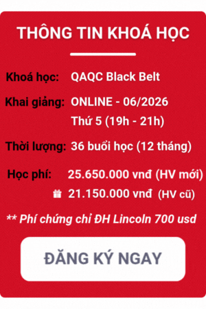 khóa học qaqc black belt