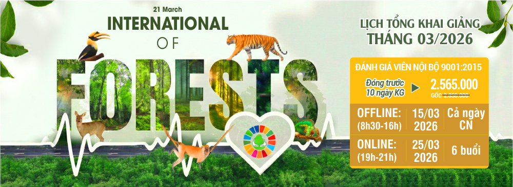 khóa học đánh giá viên nội bộ iso 9001