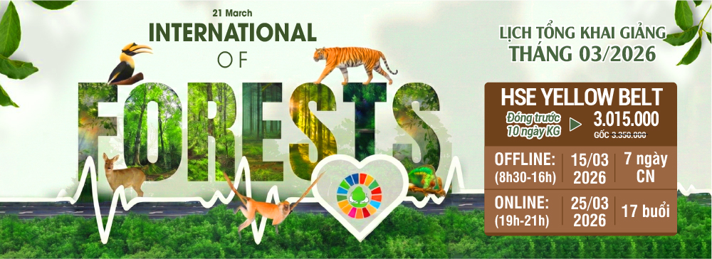 khóa học hse yellow belt