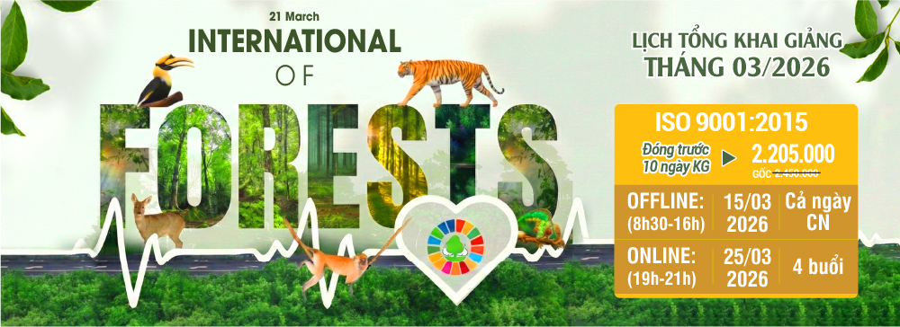 khóa học iso 9001