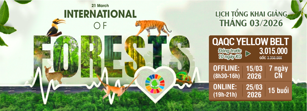 khóa học qaqc yellow belt