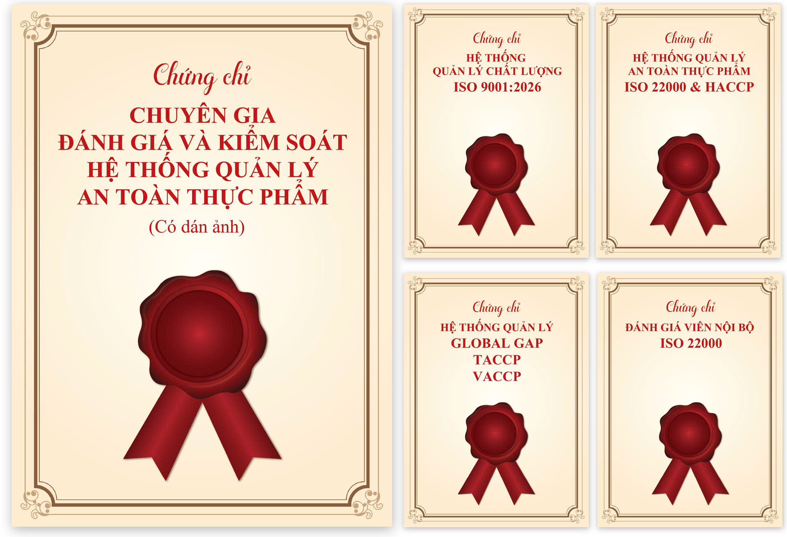 khóa học fsms yellow belt